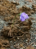 DSCF5224.JPG