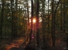 DSCF5229.JPG