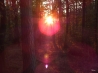 DSCF5230.JPG