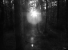 DSCF5230_28229.JPG
