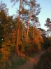 DSCF5231.JPG