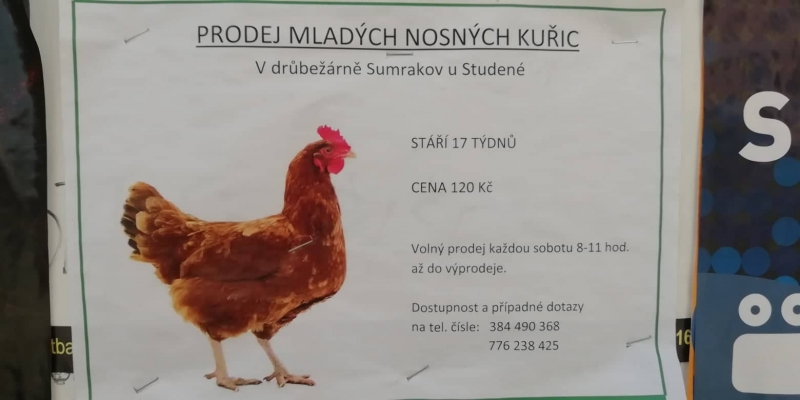 Klikněte pro zobrazení původního (velkého) obrázku