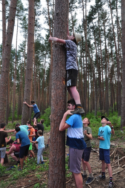 Klikněte pro zobrazení původního (velkého) obrázku
