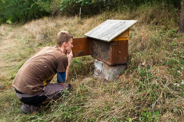 Klikněte pro zobrazení původního (velkého) obrázku