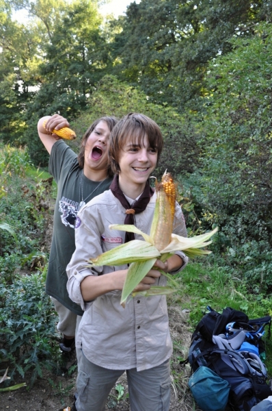Klikněte pro zobrazení původního (velkého) obrázku