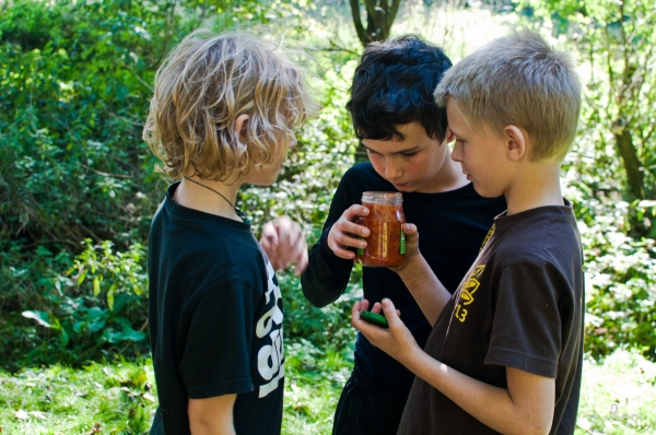 Klikněte pro zobrazení původního (velkého) obrázku