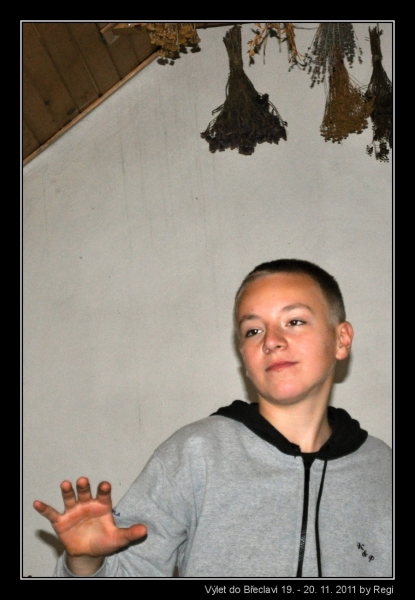 Klikněte pro zobrazení původního (velkého) obrázku