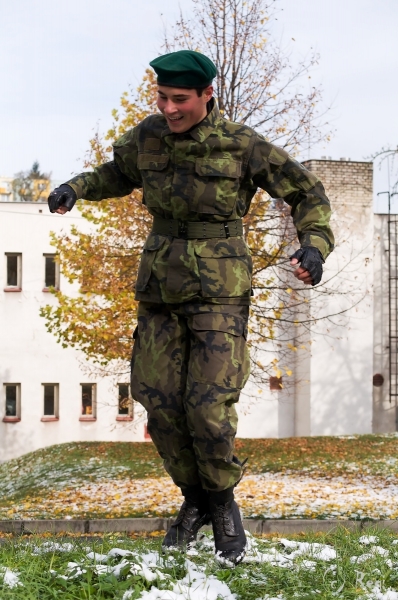 Klikněte pro zobrazení původního (velkého) obrázku