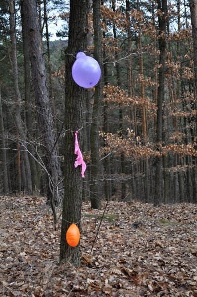 Klikněte pro zobrazení původního (velkého) obrázku