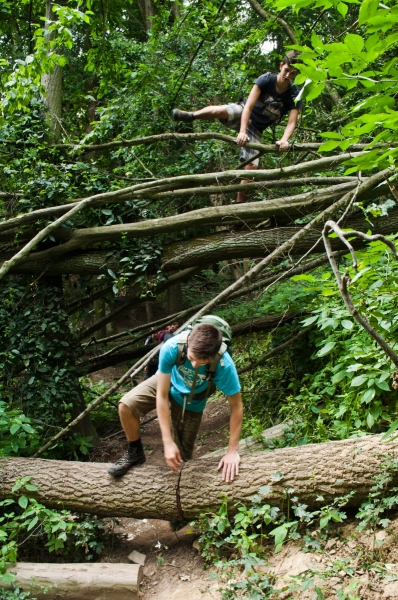 Klikněte pro zobrazení původního (velkého) obrázku