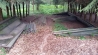 20170506_133316.jpg