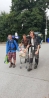 2019-07-28_1079658779090249.jpg