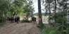 2019-07-28_359534534977529.jpg
