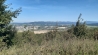 20200919_140210.jpg