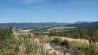 20200919_143326.jpg