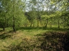 DSCN0876.jpg