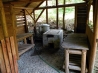 DSCN0883.jpg