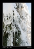 DSC_0002~1.jpg
