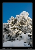 DSC_0003~1.jpg