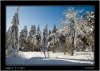DSC_0004~1.jpg