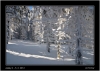 DSC_0007~1.jpg
