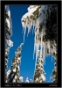 DSC_0008~1.jpg