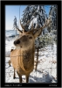 DSC_0009~1.jpg