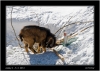 DSC_0011~1.jpg
