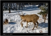 DSC_0012~1.jpg