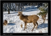 DSC_0013~1.jpg