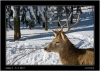 DSC_0014~1.jpg