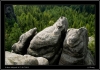 DSC_0014~2.jpg