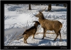 DSC_0015~1.jpg
