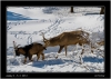 DSC_0016~1.jpg