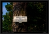 DSC_0020~1.jpg