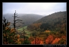 DSC_0022.jpg