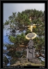 DSC_0027~1.jpg