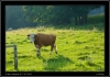 DSC_0031~1.jpg