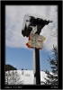 DSC_0046~1.jpg