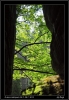DSC_0054~2.jpg