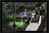 DSC_0062~2.jpg
