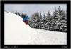 DSC_0071~1.jpg