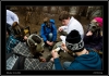 DSC_0078~0.jpg