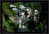 DSC_0082~2.jpg