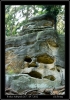 DSC_0086~1.jpg