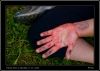 DSC_0092~2.jpg