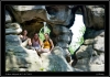 DSC_0093~1.jpg