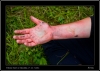 DSC_0093~2.jpg