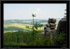DSC_0098~1.jpg