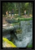 DSC_0105~1.jpg